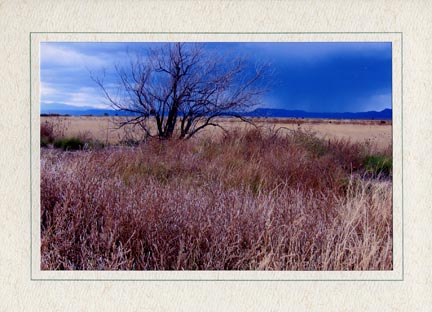 New Mexico Roadside