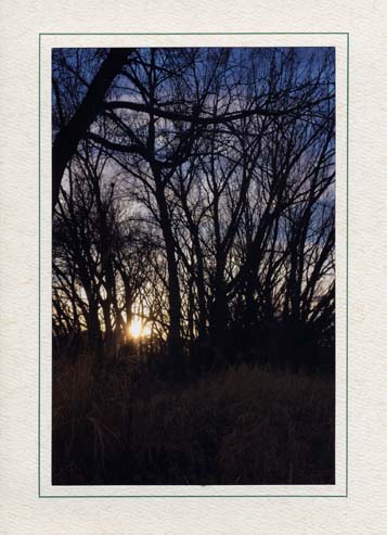 Walden Pond Sunset